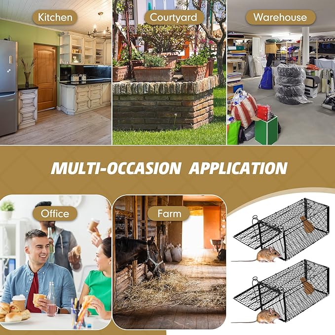 Qualirey 6 Pcs Humane Rat Trap Small Chipmunk Mouse Squirrel Cage Rodent Animal Mice Voles Hamsters