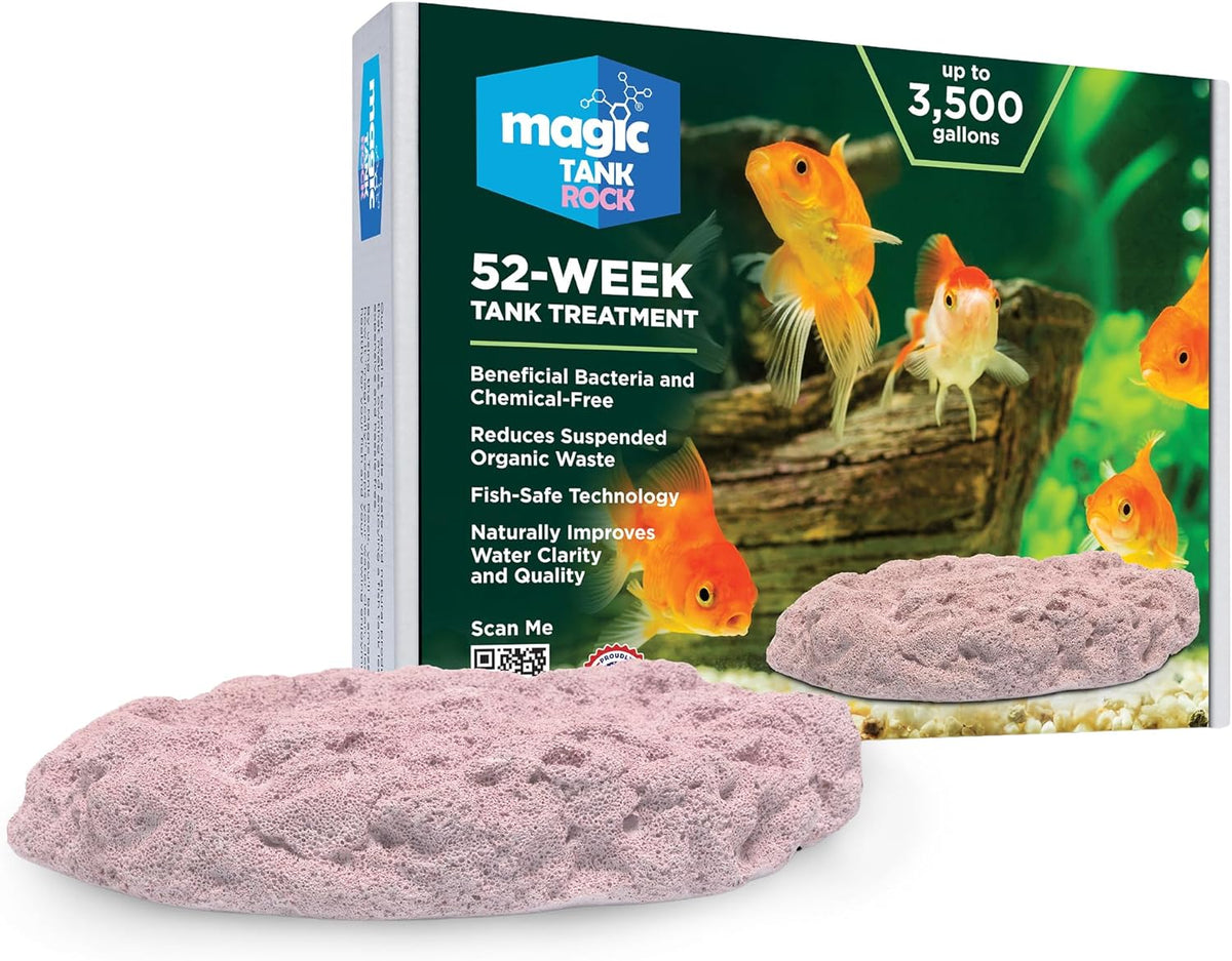 Fish Tank Rocks for Enhancing Water Clarity with Your Regular Cleaning Routine, Fish Friendly