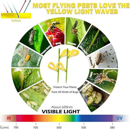30PCS Fruit Fly Traps for Indoors Gnat Traps for House Indoor Yellow Sticky Traps for Plants