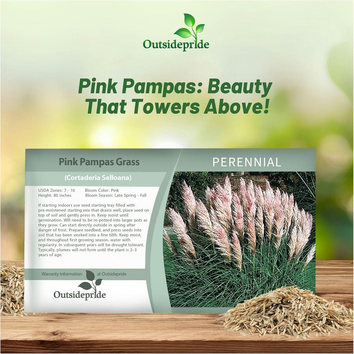 Outsidepride Pink Pampas Grass Seeds – 2,000 Pcs. Perennial, Drought-Tolerant Ornamental Grass for