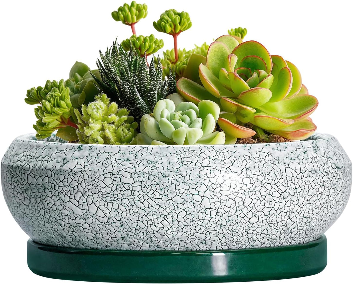 Succulent Pots - 6 Inch Ceramic Pots for Succulent Indoor Outdoor, Small Plant Pot with Drainage