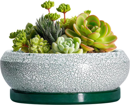 Succulent Pots - 6 Inch Ceramic Pots for Succulent Indoor Outdoor, Small Plant Pot with Drainage