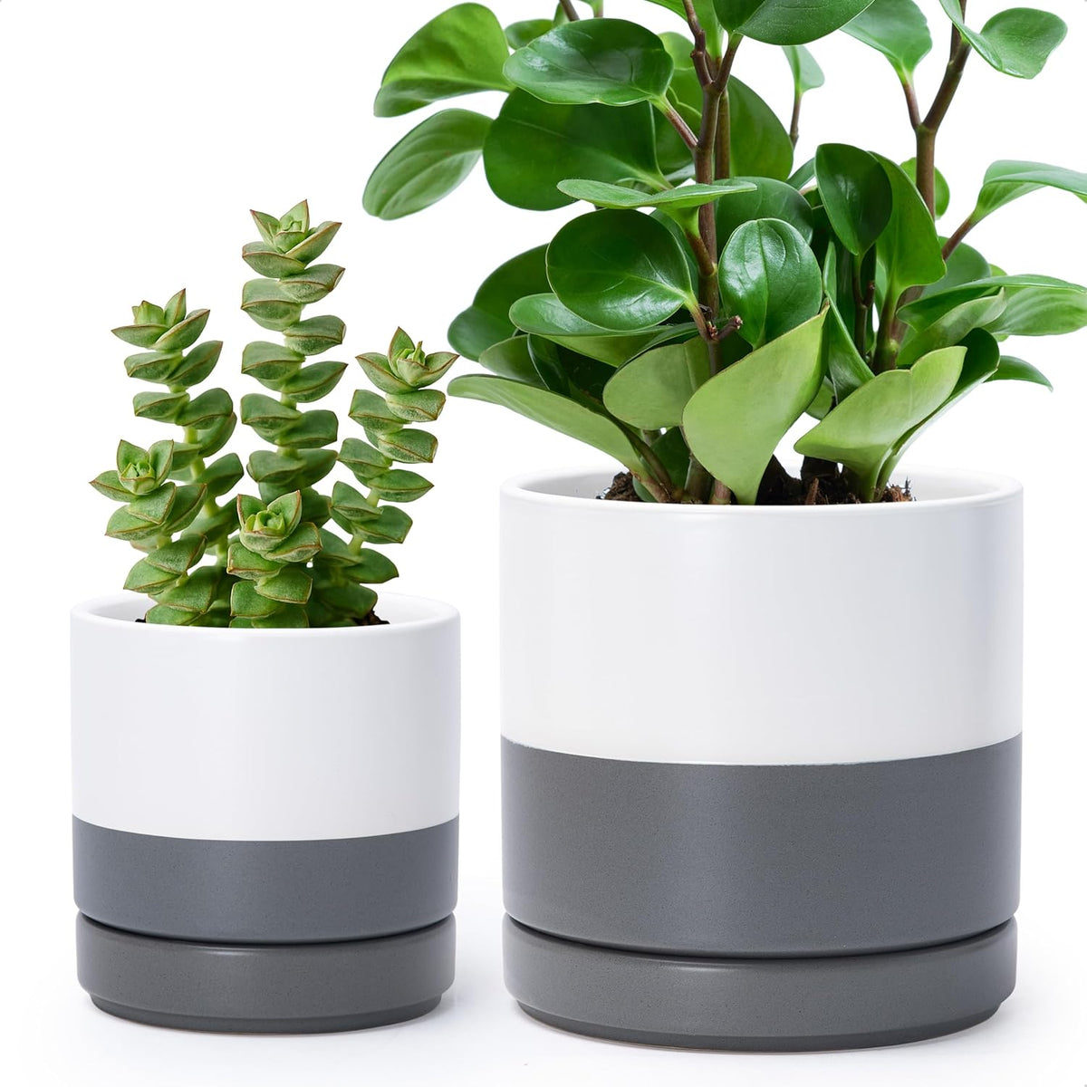 D'vine Dev 4.7 Inch & 6.5 Inch Ceramic Planter Pots for Plants with Drainage Hole and Saucer, Small