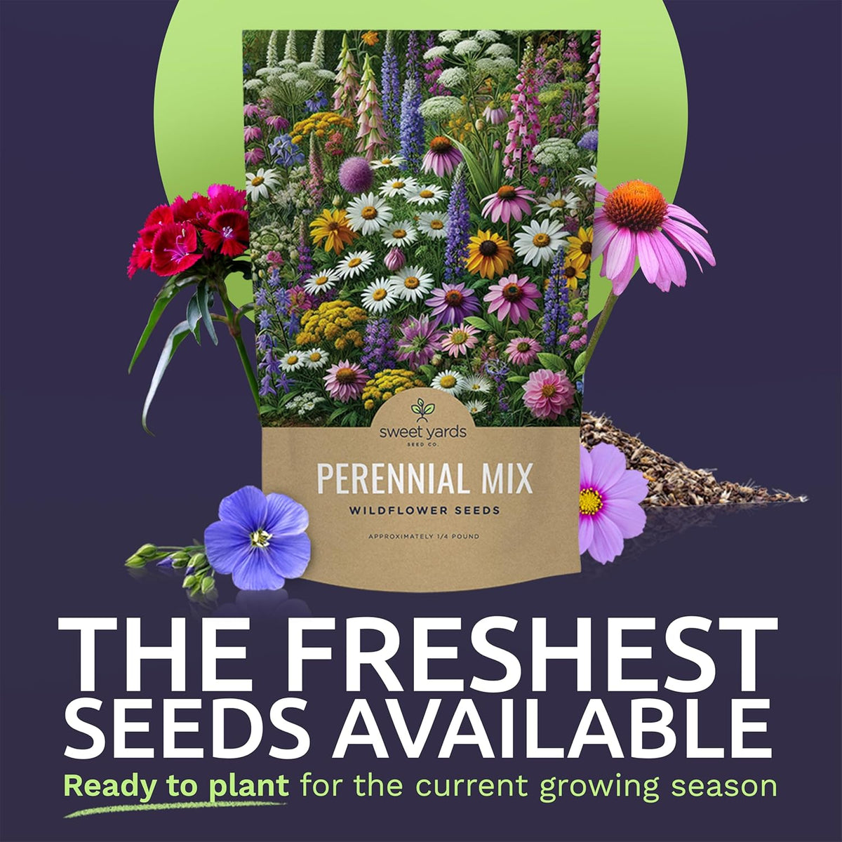 Perennial Wildflower Seeds Mixture - Bulk 1/4 Pound Bag - Over 60,000 Pure Live Seed - Open