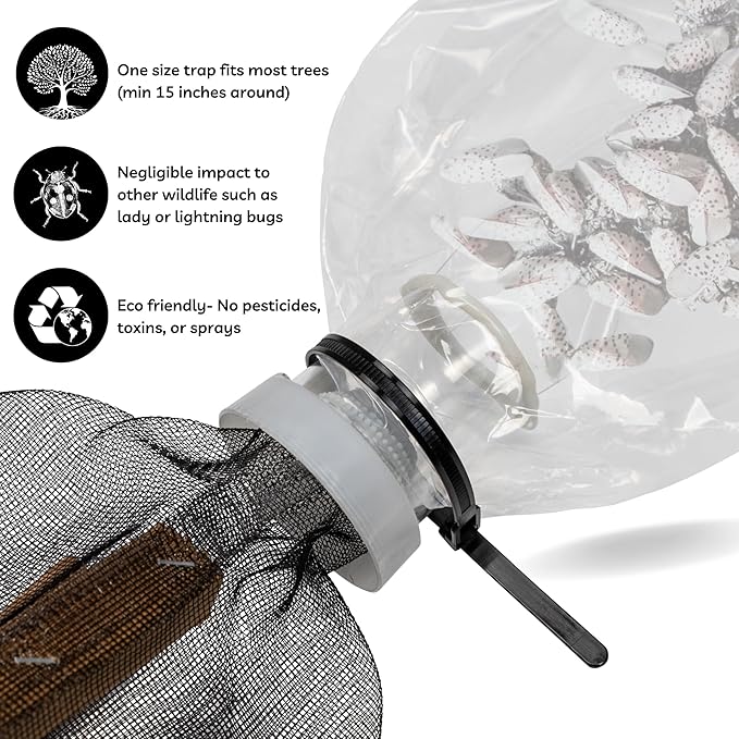 Spotted Lanternfly Tree Trap, Catch Lanternfly Without Catching Other Wildlife, Natural and Non