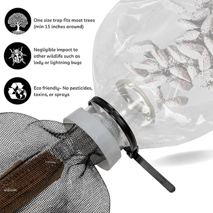 Spotted Lanternfly Tree Trap, Catch Lanternfly Without Catching Other Wildlife, Natural and Non