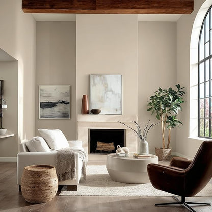 EVOLVE Paint & Primer: Environment-friendly, Low Sheen with One-coat Coverage for Interior &