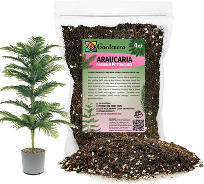 GARDENERA Premium Araucaria Potting Soil Mix - Perfect Balance of Nutrients, Drainage, and Aeration