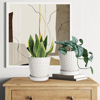 EFISPSS Ceramic Plant Pots Indoor, 5 Inch Planters with Drainage Holes and Ceramic Tray, Relief