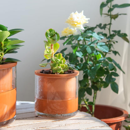 Phoenix Vine 4 Inch Self Watering Plants Pot, Design Terracotta Pot for Plants, Indoor Cylinder