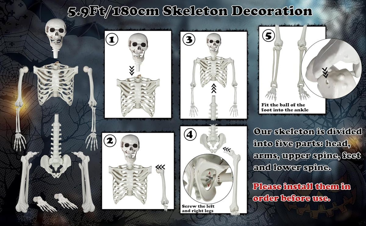 Halloween Skeleton, Realistic Life Size Skeleton with Movable Joints for Halloween Party Haunted