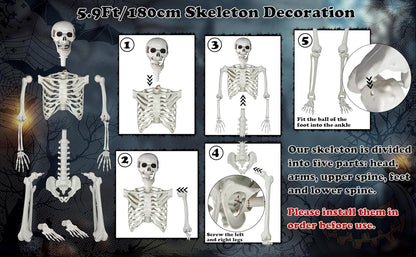 Halloween Skeleton, Realistic Life Size Skeleton with Movable Joints for Halloween Party Haunted