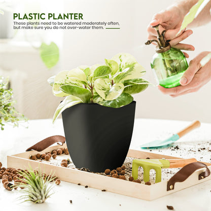 Plant Pots Indoor with Drainage, 5 Pack Multi-Size Planters Set, Black