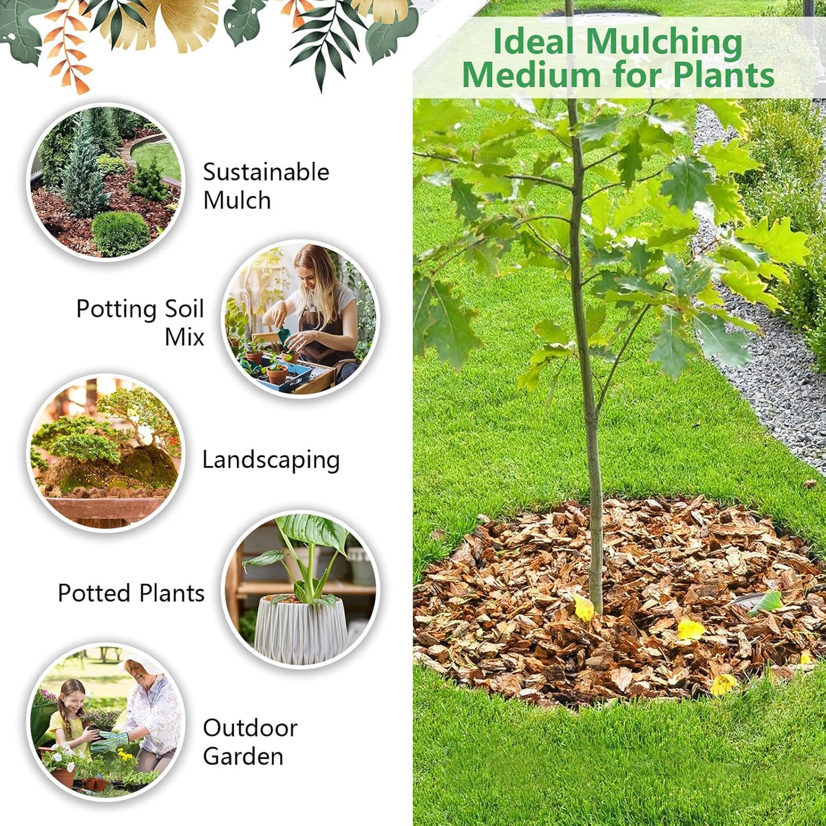 Legigo 6 Pack Coco Husk Chips- 6.6 LB 100% Organic Coconut Coir Chips Brick Potting Soil Mix with