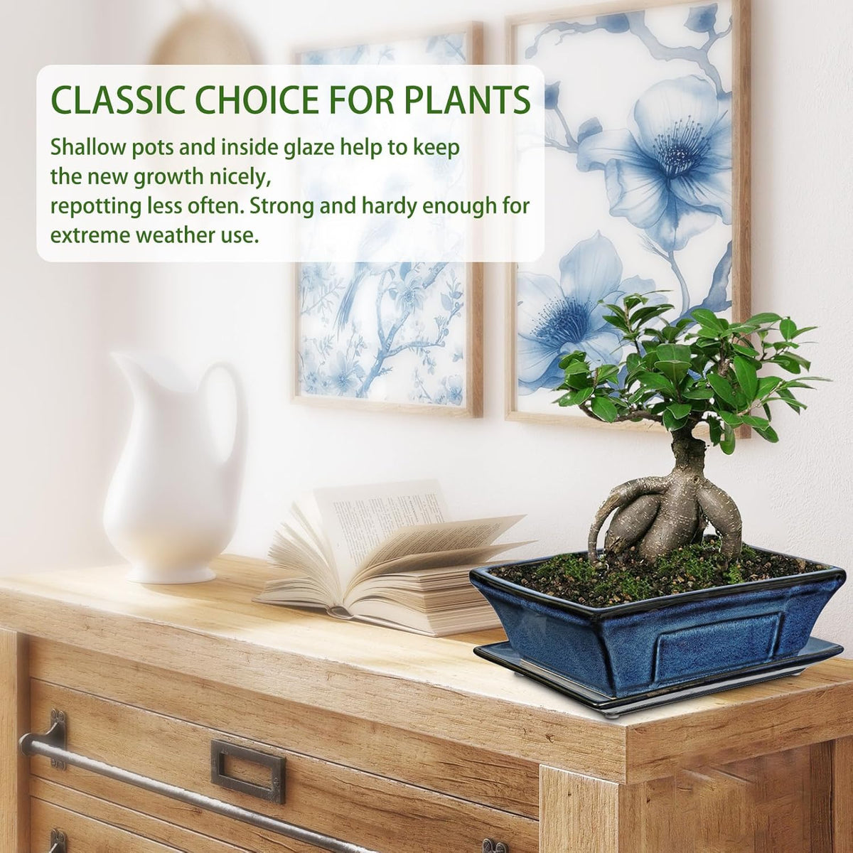 Large Ceramic Bonsai Pots with Drainage Trays Set of 2, 10" Blue Glazed Bonsai Planters for