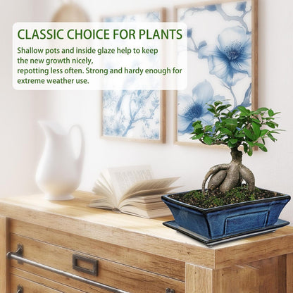 Large Ceramic Bonsai Pots with Drainage Trays Set of 2, 10" Blue Glazed Bonsai Planters for