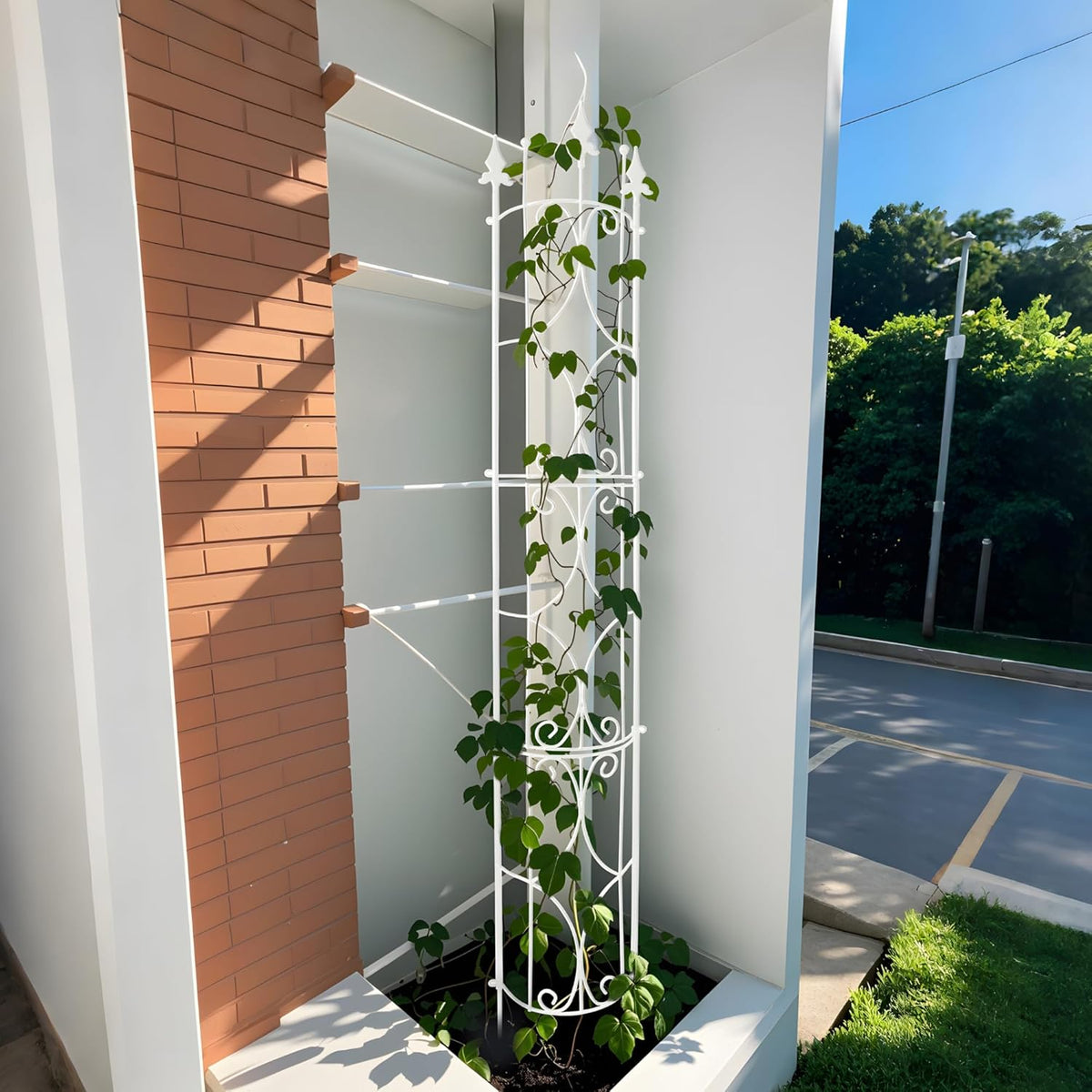 Garden Trellis 2 Pack 72'' H x 12'' W Metal Plant Trellis Indoor/Outdoor Metal Garden Trellis Plant