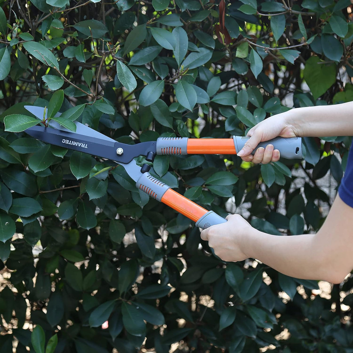 Garden Hedge Shears. Hedge Clippers & Shears SET with Super Pruning Shears. Heavy Duty Garden