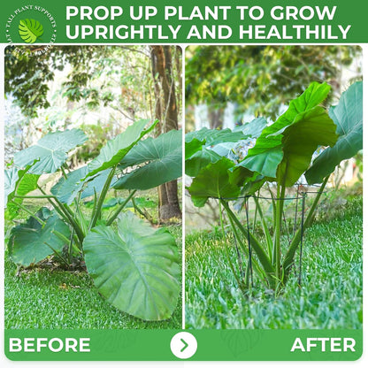 LEOBRO 24 Inch Plant Support Stakes, 6PCS Plant Stakes, Peony Cages and Supports, Garden Stakes