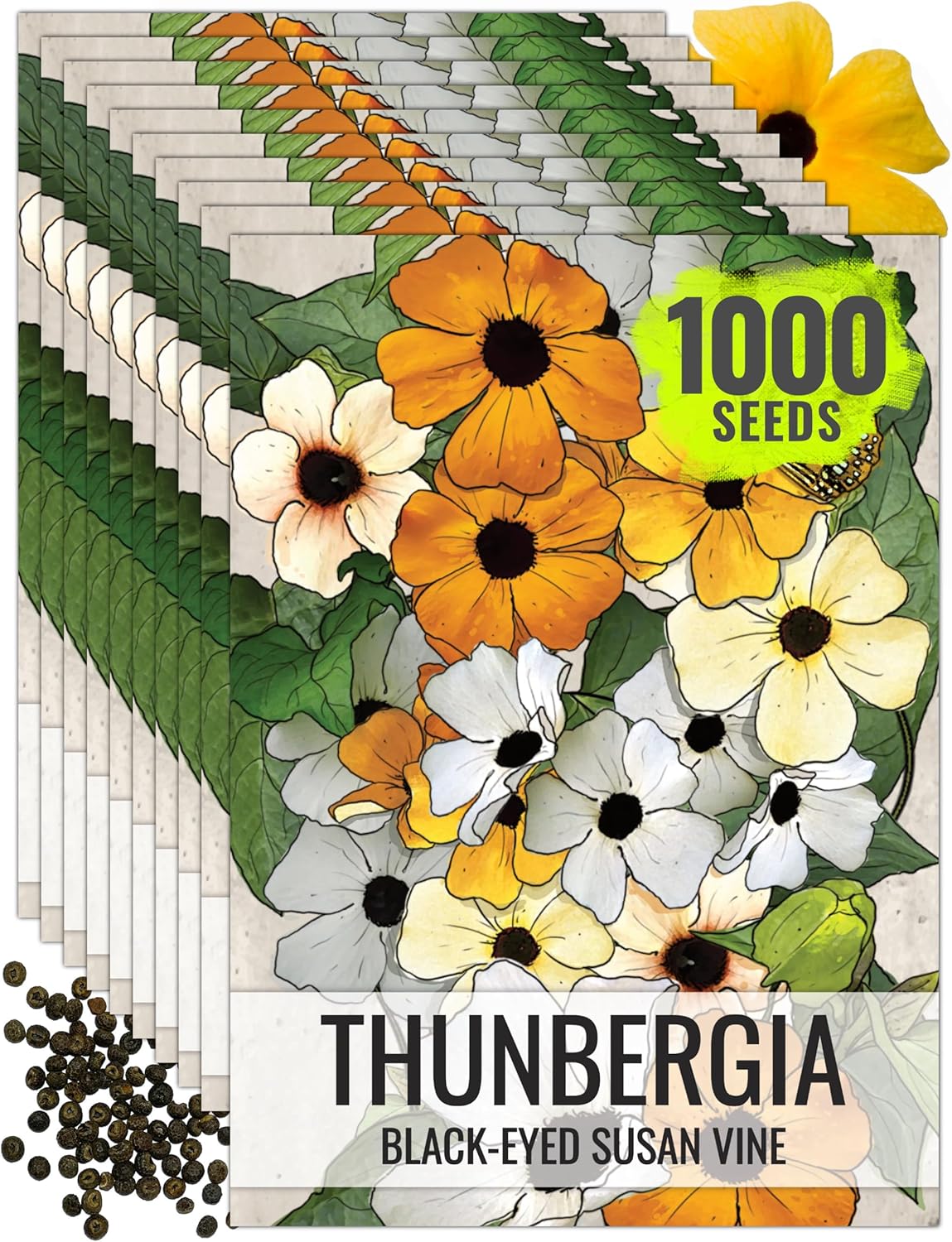 Seed Needs Black-Eyed Susan Vine Seeds for Planting Thunbergia Climbers - Heirloom & Open