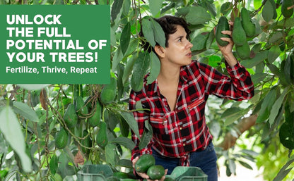 6-4-6 Avocado and Citrus Tree Professional Fertilizer Plant Food for Outdoor/Indoor Gardening;