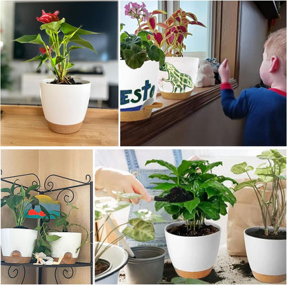 Self Watering Planters with Drainage Holes Reservoir,Nursery Planting Pot for Indoor Decor Garden