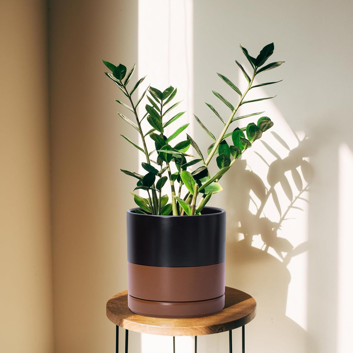D'vine Dev 6.5 Inch & 8.2 Inch Ceramic Planter Pots for Plants with Drainage Hole and Saucer