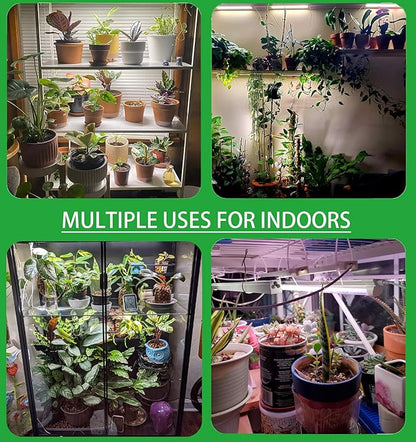 Plant Lights for Indoor Plants, Full Spectrum Growing Lamps for Indoor Plants, Auto On & Off Timer