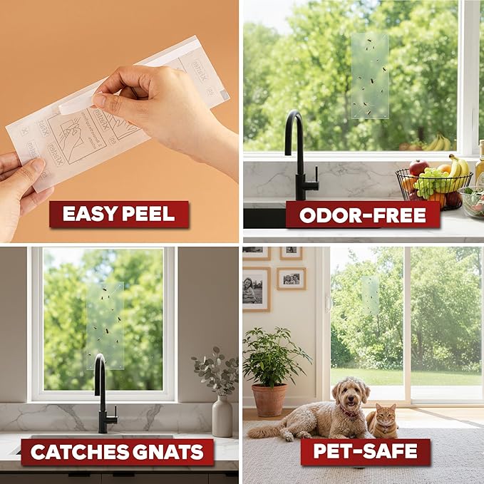 XFasten Window Fly Traps Sticky Clear 50-Pack Fruit Fly Traps for Indoors Sticky, Residue-Free