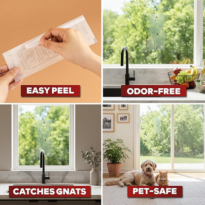 XFasten Window Fly Traps Sticky Clear 50-Pack Fruit Fly Traps for Indoors Sticky, Residue-Free