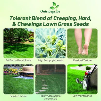 Outsidepride Legacy Fine Fescue Grass Seed Mix - 5 lbs. Shade & Sun Tolerant Blend of Hard Fescue