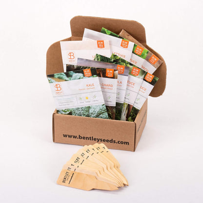 Seed Starter Kit – Salad Greens | Non-GMO | Heirloom Seed Packets | Natural Wood Row Markers | Over