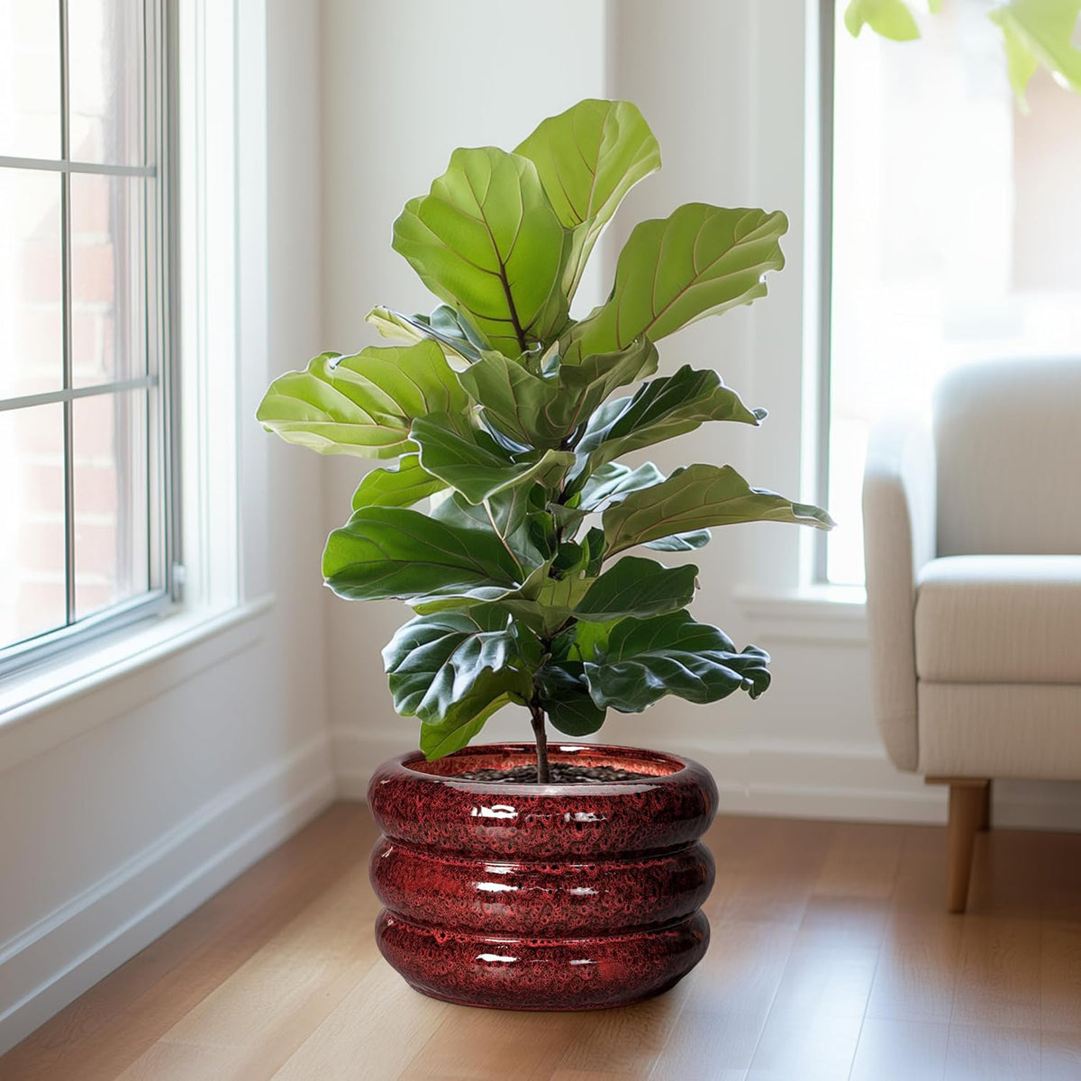 SQOWL Ceramic Planters for Indoor Plants - 13.5 Inch Plant Pot with Drainage Hole, Large Ceramic