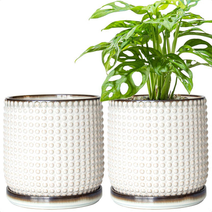 D'vine Dev Set of 2 Ceramic Plants Pots, 6 Inch Beaded Stoneware Flower Pot for Plants with