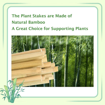 Garden Stakes 4ft, Natural Bamboo Stakes 4 Feet, Thicker Sturdy Plant Stakes 25 Pack for Tomatoes
