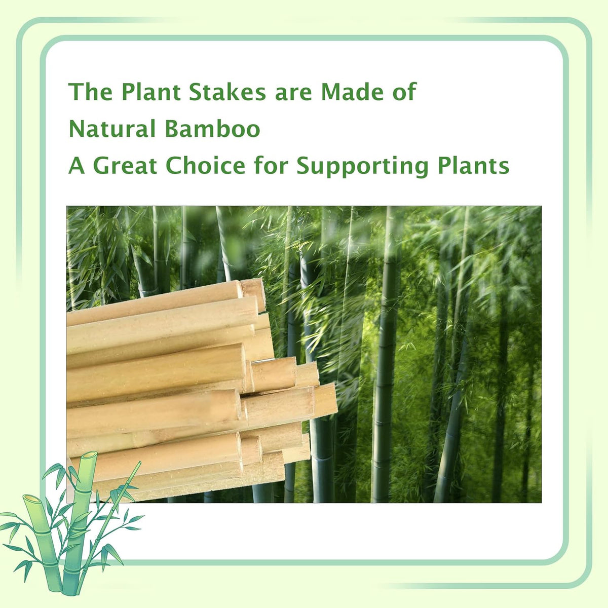 Bamboo Garden Stakes 57 Inch 25pcs, 1/2" Dia Plant Stakes 5ft Approx for Indoor Outdoor Plants