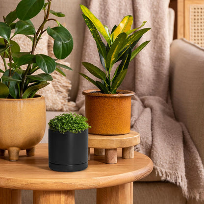 D'vine Dev Set of 2 Plants Pots, 3.5 Inch Ceramic Planter Pot for Plants with Drainage Hole and