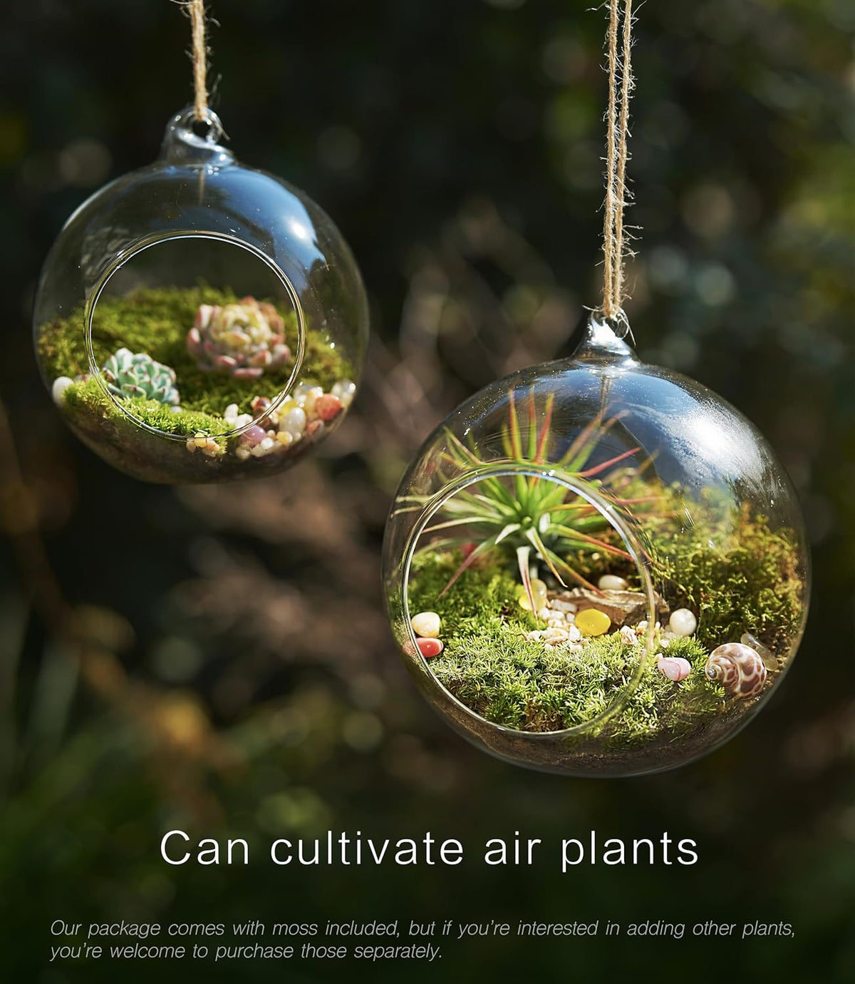 15-Piece Terrarium Kit with Live Moss – DIY Glass Globe Set with Tools, Soil, Stones & Spray Bottle