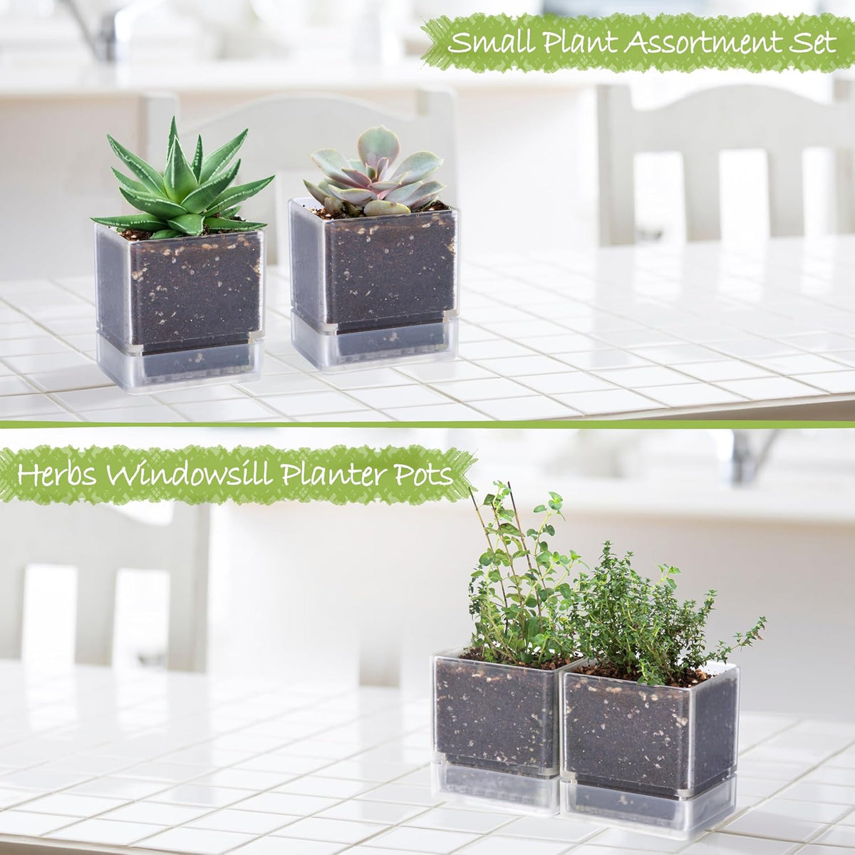 4 Inch Herb Planter Pot, Plastic Planter with Drainage Holes and Saucer, Modern Decorative