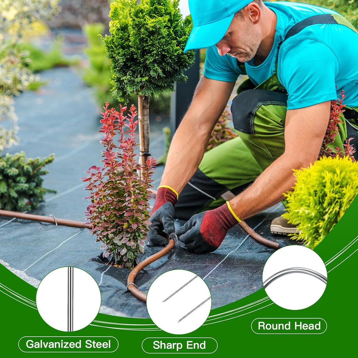 Tandefio 200 Pack Drip Irrigation Tubing Stakes 6 Inch Garden Pins Landscape Staples Securing Pegs