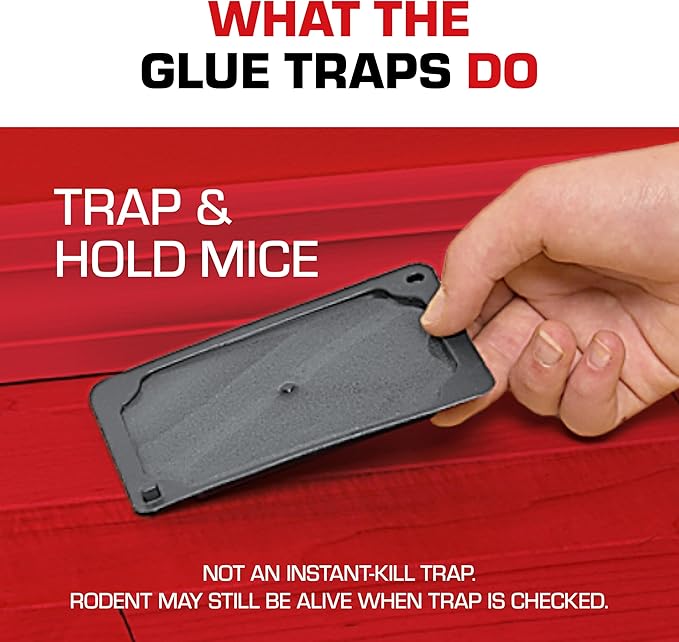 Tomcat Glue Traps Mouse Size with Eugenol for Enhanced Stickiness for Mice, Cockroaches, and