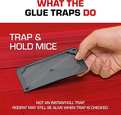 Tomcat Glue Traps Mouse Size with Eugenol for Enhanced Stickiness for Mice, Cockroaches, and
