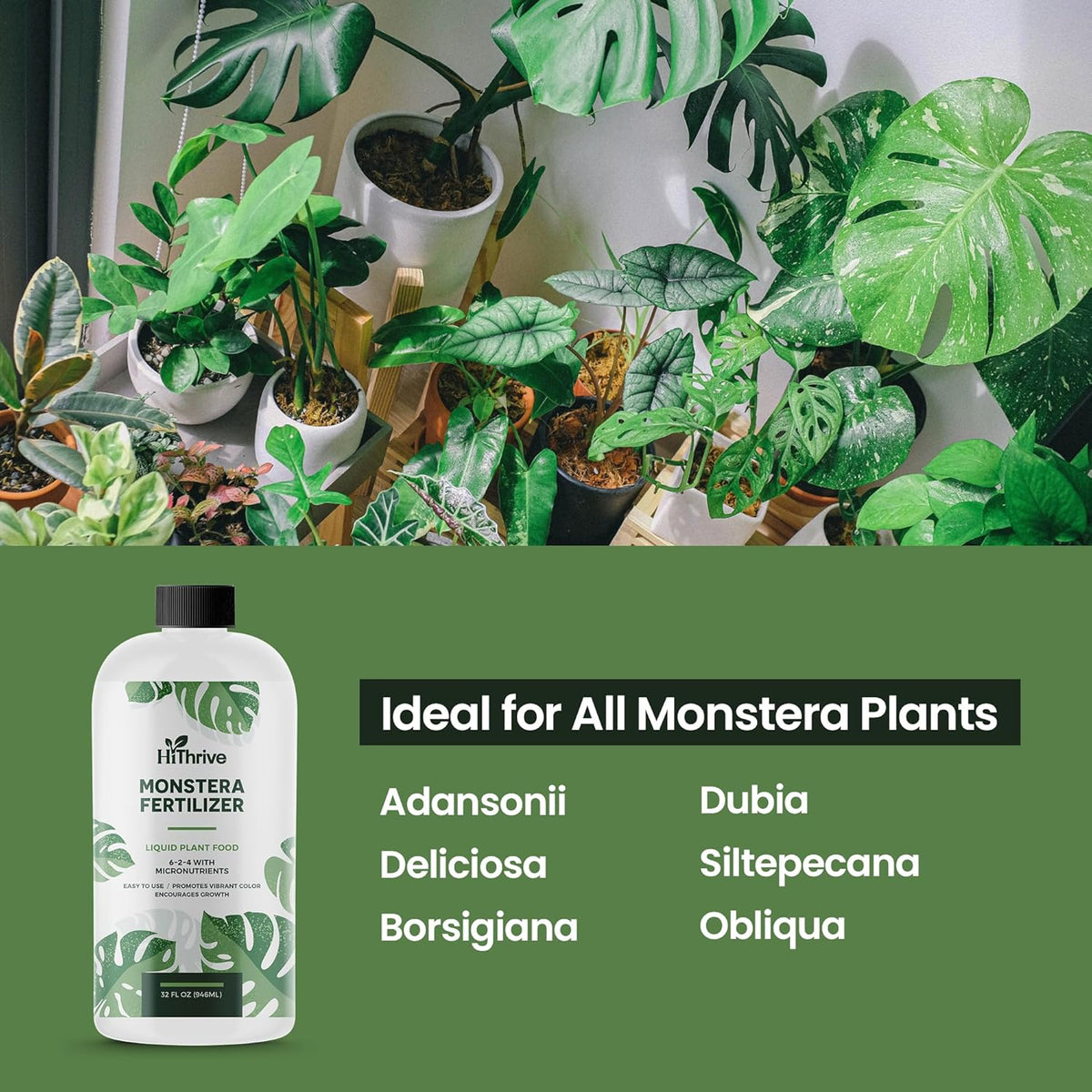 32oz Monstera Plant Food - Makes 192 Gallons of Monstera Fertilizer, Liquid Indoor Plant Fertilizer