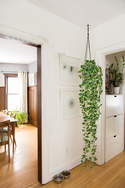Hollyone Artificial Hanging Plants 6FT Fake Ivy Vine Faux Ivy Leaves Hanging Plant Greenery for