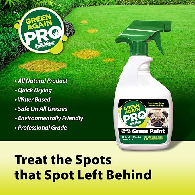 Pre-Mixed Grass and Turf Paint - All Natural Pet-Friendly Lawn Colorant Turns Spots Green Again