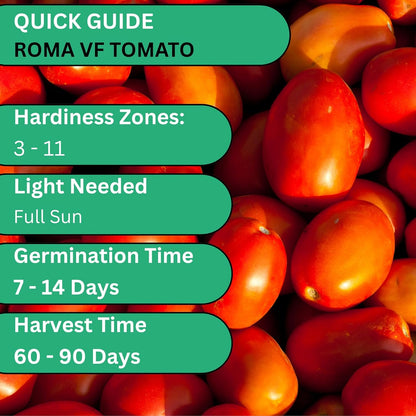 Woods Creek Seeds: Roma VF Tomato Seeds for Planting - Over 350 Heirloom Tomato Seeds for Planting