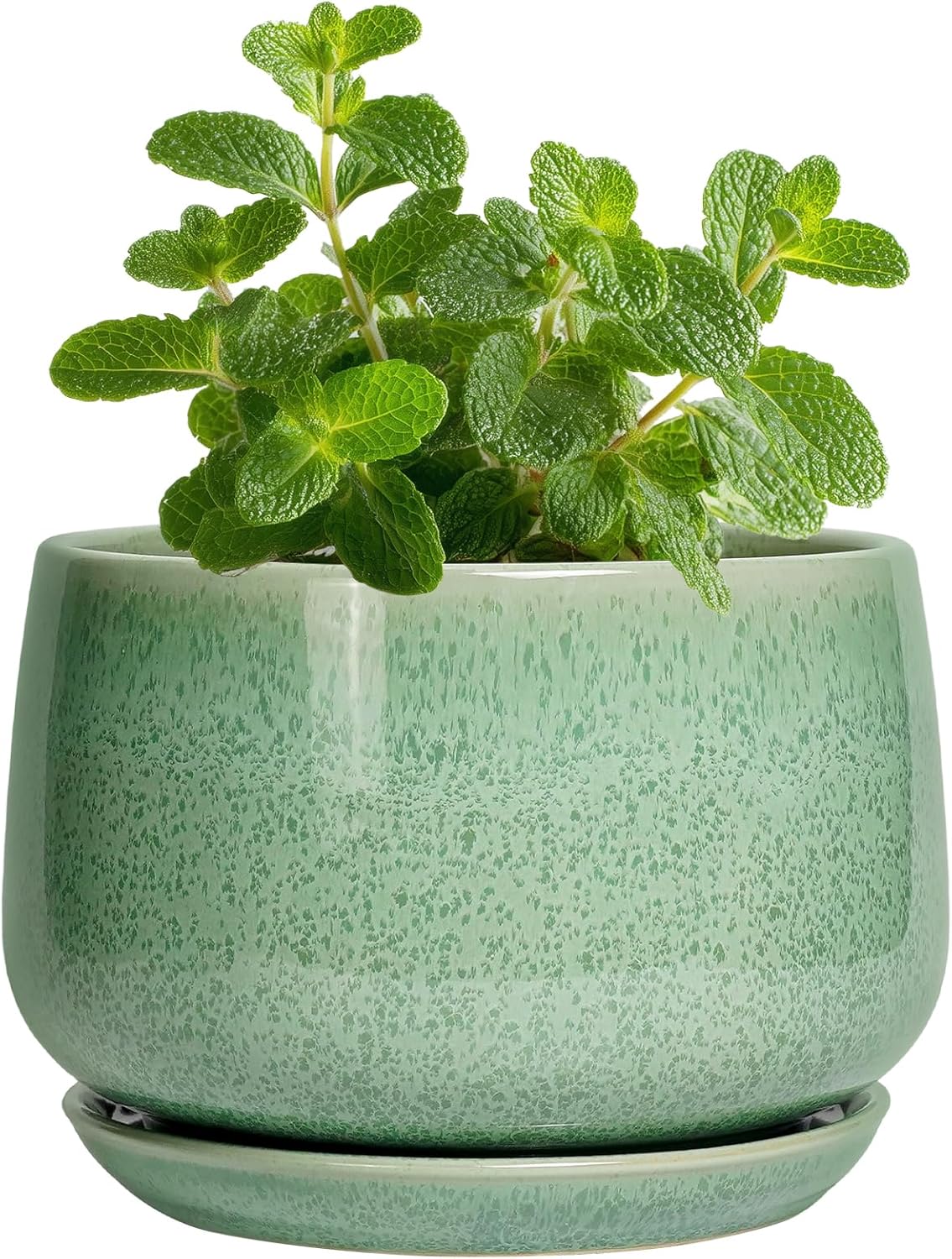 G EPGardening Ceramic Plant Pot - 4 inch Plant Pots with Drainage Hole & Saucer, Small Pots for