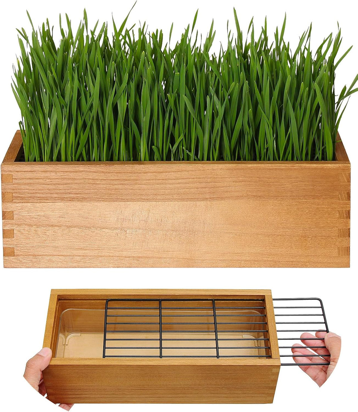 Wooden Cat Grass Planter (no Seeds Included) with Potting Soil Disks, Anti-Digging Grid and
