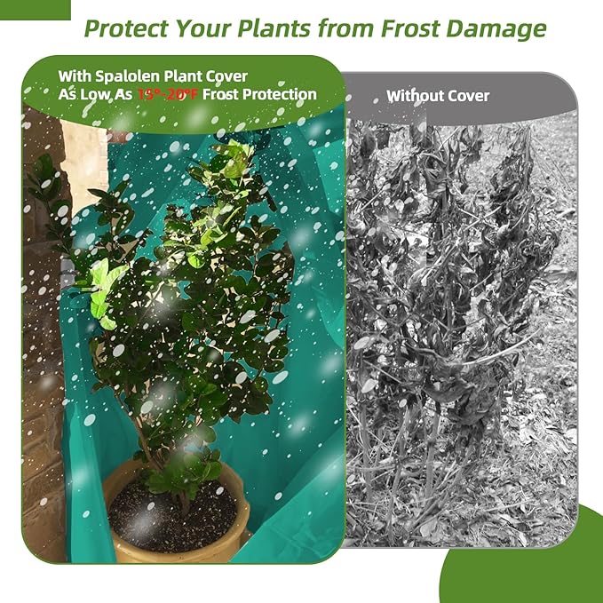 2 Pack Plant Covers Freeze Protection, 75"W x 90"H Winter Frost Blanket 2.36 oz/yd² Fabric Frost