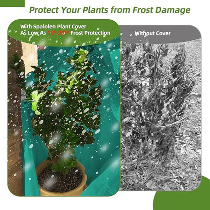 2 Pack Plant Covers Freeze Protection, 75"W x 90"H Winter Frost Blanket 2.36 oz/yd² Fabric Frost